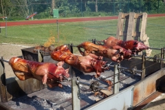 diesmal 4 Spanferkel